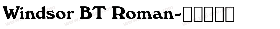 Windsor BT Roman字体转换
